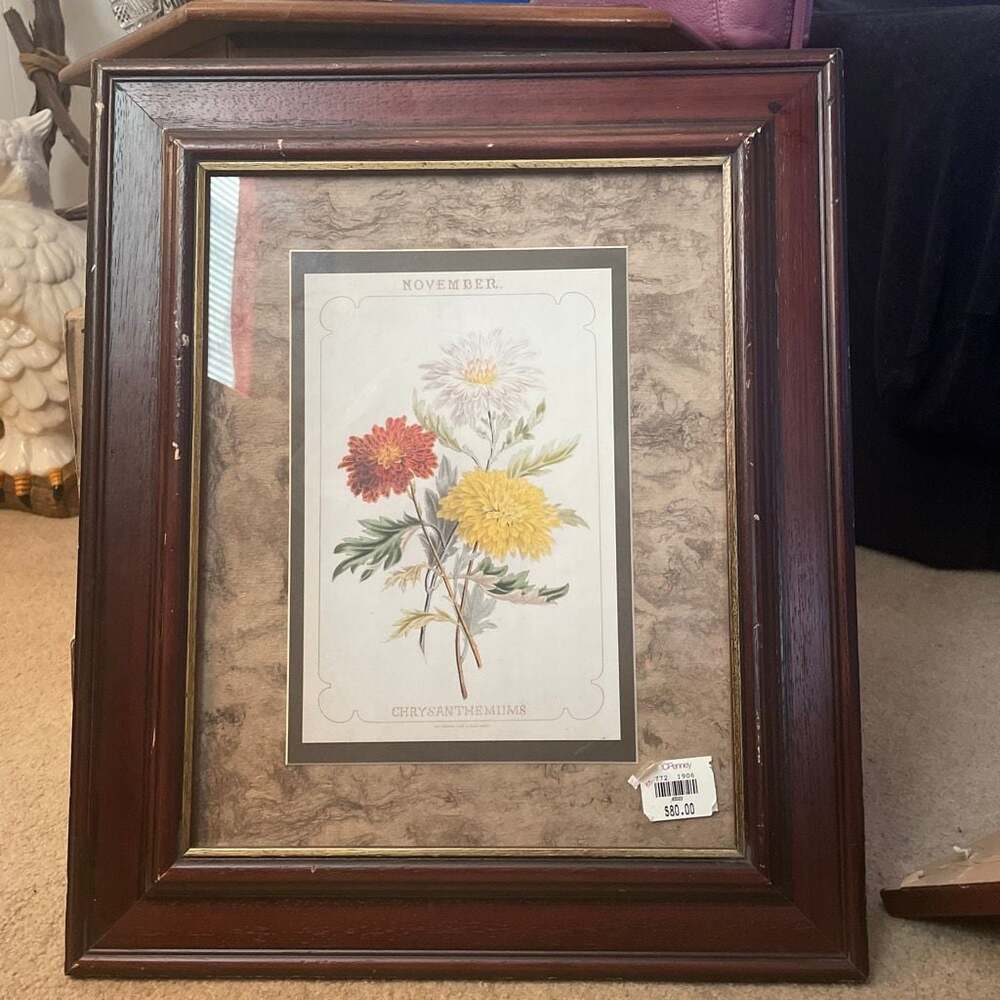 Windsor Art & Mirror Co. Vintage Framed November Chrysanthemums Botanical Print